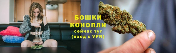 таблы Богданович